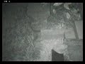 The Rat Channel : Sisyphus Rat The Rat Channel : Sisyphus Rat