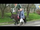 claudia rijdt op Romy claudia rijdt op Romy