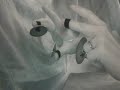 Zils - Gallop