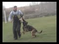 Kobold v Karthago 9 Months