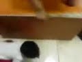 Funny BABY����� ��� ���� ���� ������ ����� �����