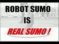 Sumo Bot