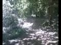 Une deuxieme vidéo du Trou du Renard