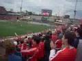 TFC fans celebrate Colin Samuel's goal vs New England