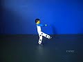 Lego Kung Fu Lego Kung Fu