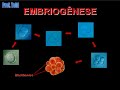 Biologia: Estudo da formação do Embrião 02 (Prof. Toid)