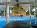 POLINBULL ENTRENANDO KON SU ARCHIENEMIGO EL TOY STORY POLINBULL ENTRENANDO KON SU ARCHIENEMIGO EL TOY STORY