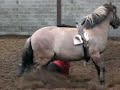 la chute la chute