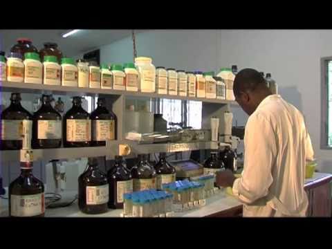IITA - A documentary on IITA-Cameroon Station which is one of the 10 IITA Stations in Sub Saharan Africa,and also a host to some other institutions which include CI...
