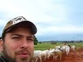 Chegada da Comitiva - S�o Jo�o do Caiu�