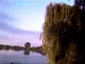 Vom Baum springen