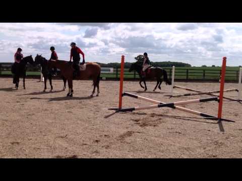 - Fallowfen Training Kennels - Fallowfen Training Kennels