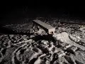 dan moore backyard up box test
