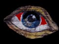 Eyeball on Life