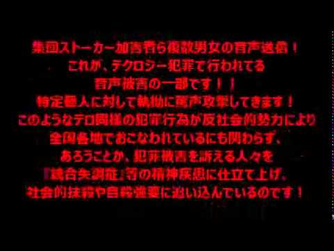 組織的ストーカー行為 組織的嫌がらせ行為 転載禁止 C 2ch Netyoutube動画 15本 Dailymotion 2本 画像 14枚