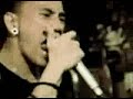 shoot to kill? - greyhoundz shoot to kill? - greyhoundz