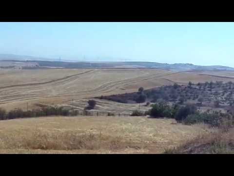 Image de prévisualisation YouTube