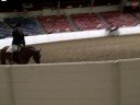 Horsebook Movie: AQHA Nov Am HUS at the Ohio State Fair