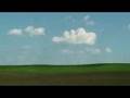 Biofuels: Beyond the Headlines