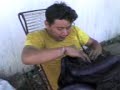 CARNAVALES AKIRO (ELMO)ongol