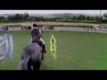 horselife 2 wii game review