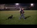 Preview video <strong>Mos� Storgato con Diuk di casa Milocco</strong>