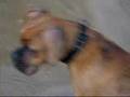 videos de diabolo