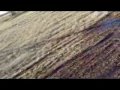 Tri-Copter.wmv