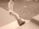 Patins in line