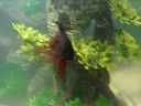 My New Betta&Bronze Cory\