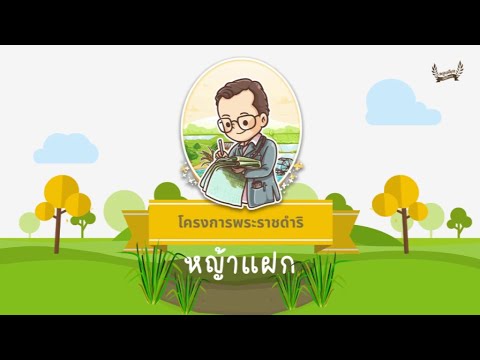 อนิเมชั่นโครงการพระราชดำริ "โครงการหญ้าแฝก อันเนื่องมากจากพระราชดำริ"
