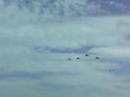 22/04/08 Rasante Mirage, AMX e F-5.