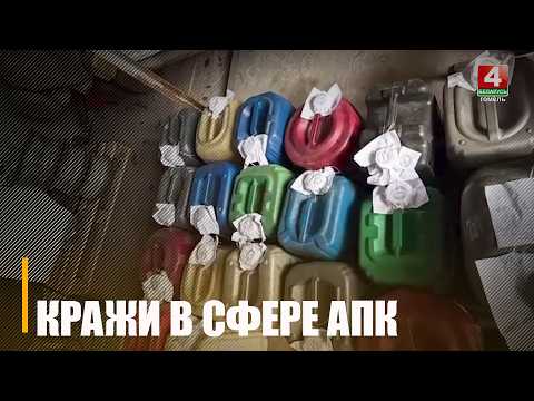 От металлолома до солярки: в Гомельской области раскрыты кражи в АПК видео