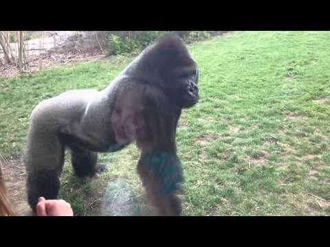 Play YouTube video