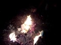 Let the Shit Burn