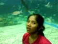 yenz,,,ocean park...