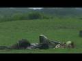 FALL OF LOUISBOURG