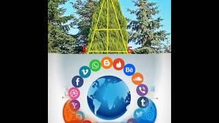 Abol Bio Ley - Video 4 - Informar Arbol