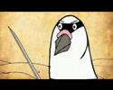 The-Masked-Pigeon