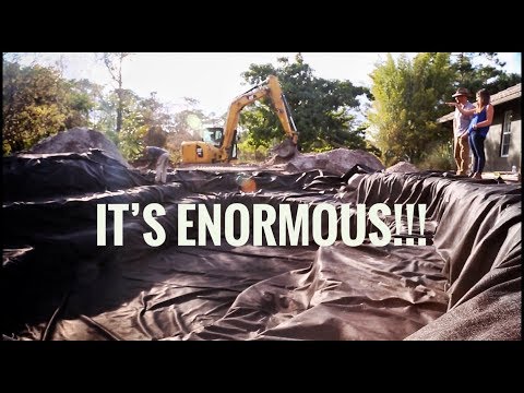 YouTube reptile video