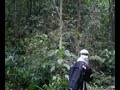 IsiRimba Big Paintball Scenario 2008 - Rushlah!