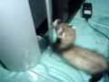 videos de NhooPhee 3