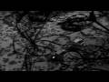 Novaks I'll Give You A Ring Official Music Video and Lyrics