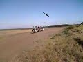 balade a cheval sur plage d�but