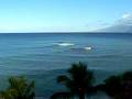 videos de Picture 180.mov