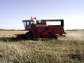 Combining Canola Combining Canola