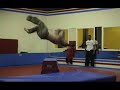 Havok and Team Ryouko Tumbling Collage