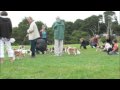 videos de Cavalier Walk in the Park