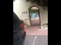 IMG 0207