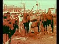 A song from the 2004 'Awilele' album by Beautiful Nubia and the Roots Renaissance Band